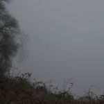 P1010541