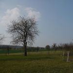 P1010561