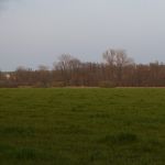 P1010619