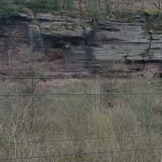 P1010636