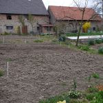 P1010686