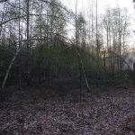 P1010838