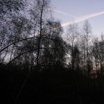 P1010840