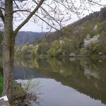 P1020005