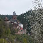 P1020016