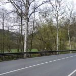 P1020232