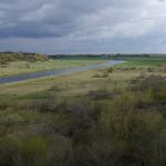 P1020365