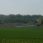 P1020936