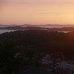 P1030203