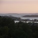 P1030204