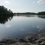 P1030241