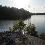 P1030246