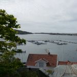 P1030309