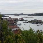 P1030312