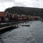 P1030347