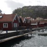 P1030351