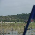 P1030358