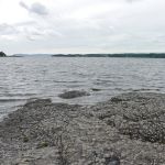 P1030429