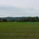 P1030757