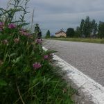 P1050194