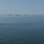 P1050491