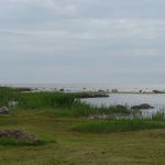 P1050804
