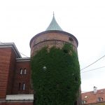 P1050977