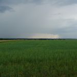 P1060148