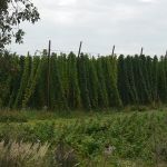 P1060975