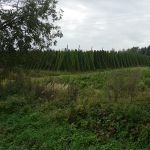 P1060976