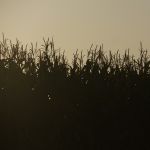 P1070382
