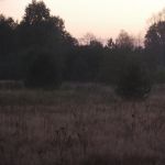 P1070397