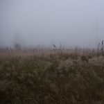 P1070398