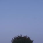 P1080173