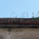 P1080211