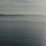 P1080252