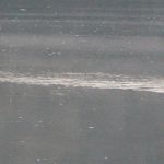 P1080359