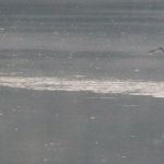 P1080362