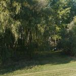 P1080470