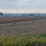 P1080486