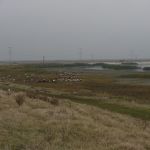 P1090032