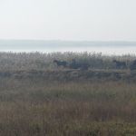 P1090110