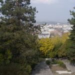 P1090123