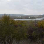 P1090139