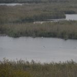 P1090140