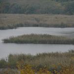 P1090141
