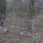 P1090570