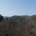 P1090632