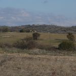 P1090694