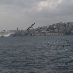 P1100143